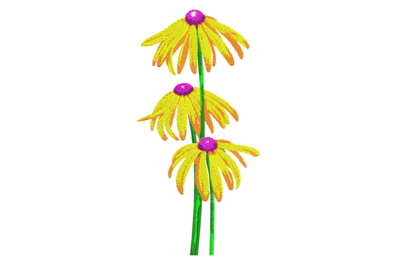 Black Eyed Susan Flowers