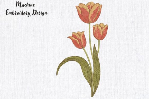 Elegant Spring Three Tulip Flower